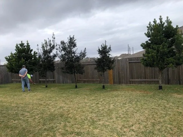 Reliable lawn mowing service in Katy, TX by C & A Landscaping