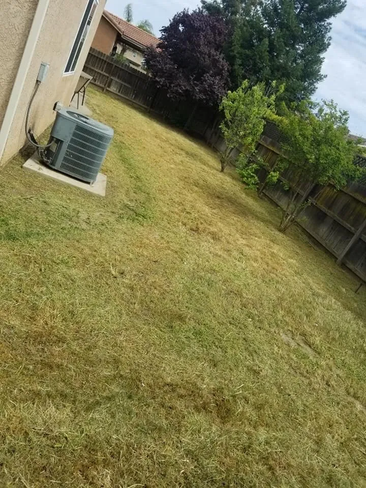 Top-rated landscaping services in Fresno, CA by C & A Lawn care