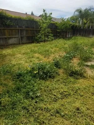 C & A Lawn care Logo