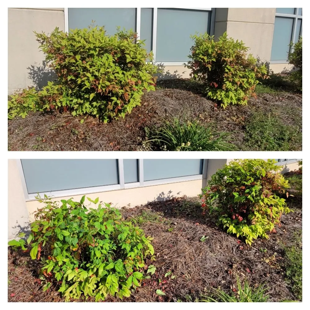 Local garden landscaping experts serving Fayetteville, NC - C & A Lawn Pros