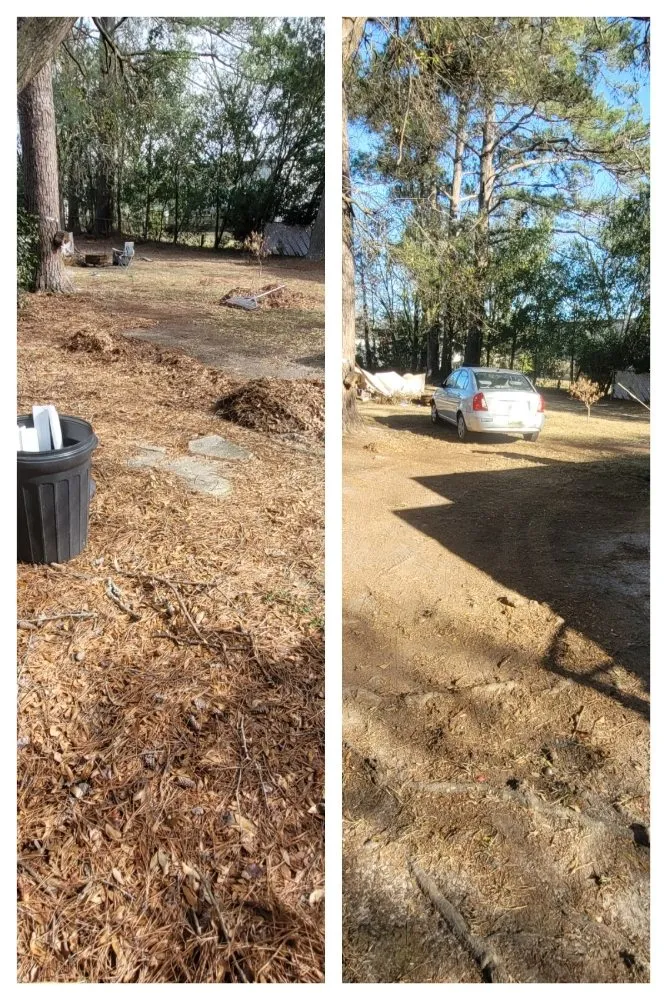 Affordable landscape design for beautiful yards in Fayetteville, NC by C & A Lawn Pros