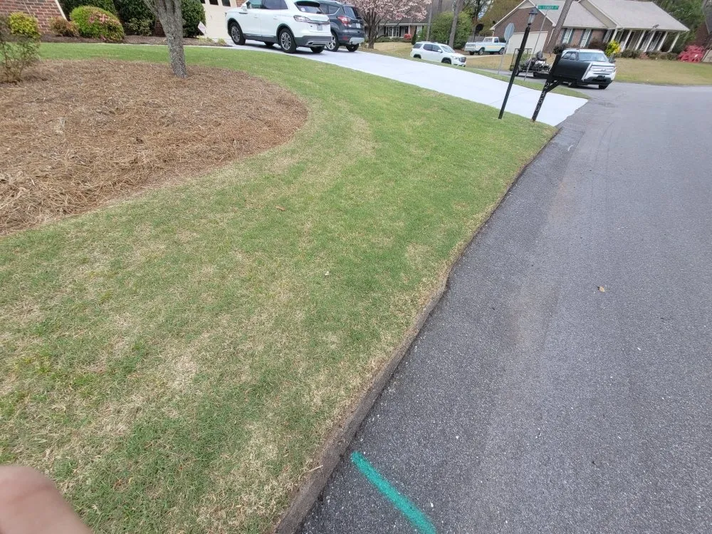 Trusted landscaping services in Fayetteville, NC - C & A Lawn Pros