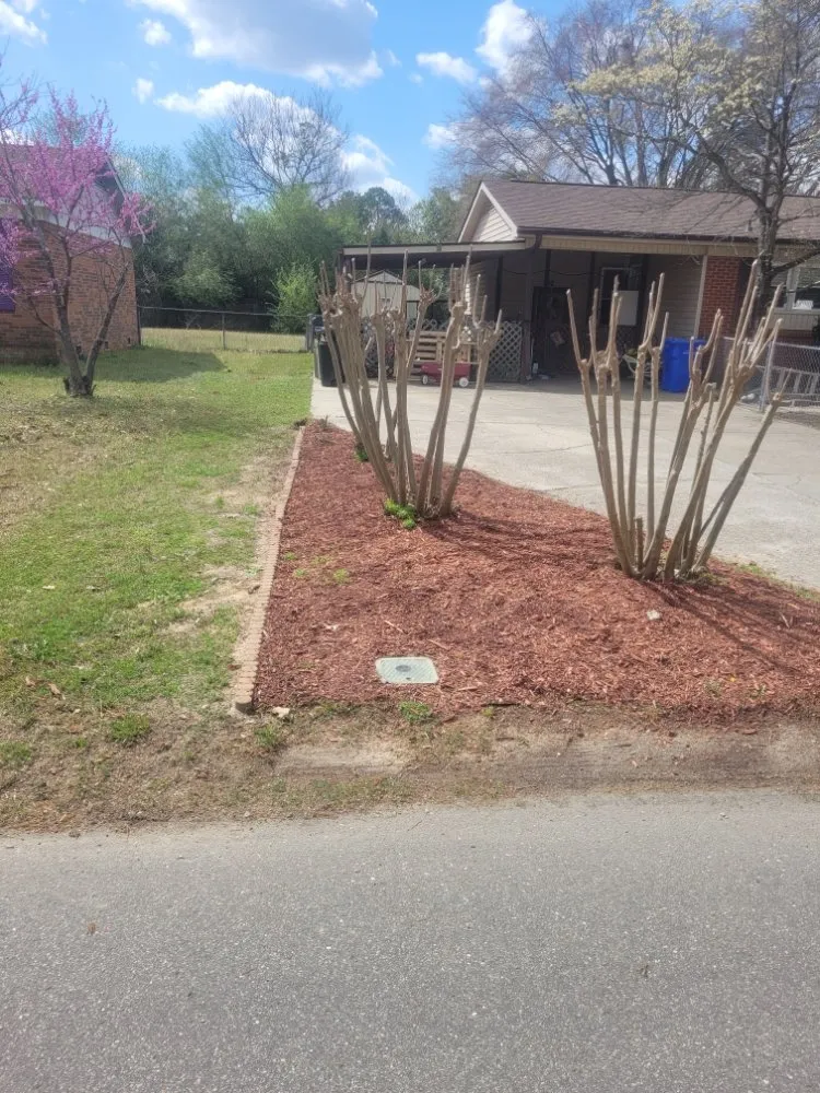 Professional lawn care service for homes in Fayetteville, NC by C & A Lawn Pros