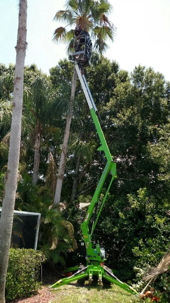 Reliable landscape installation in Tampa Bay, FL - C & B Enterprises