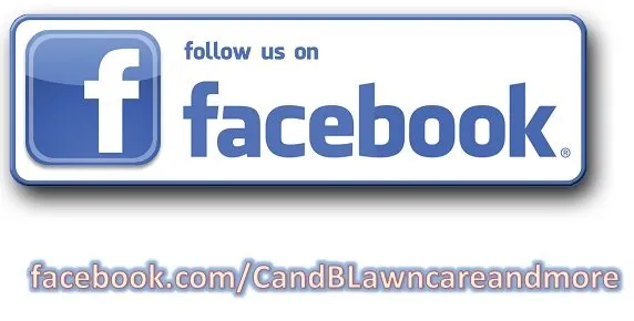 Expert landscape design in Flint, MI - C & B Lawn Care