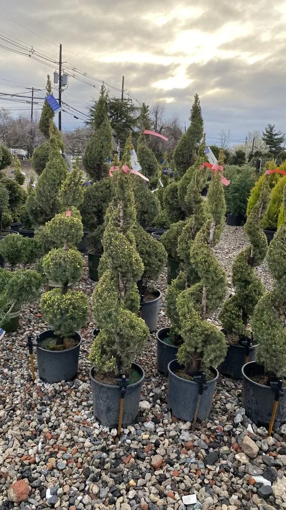 Local garden landscaping with custom design across Edison, NJ - C & B Lawn Care Service