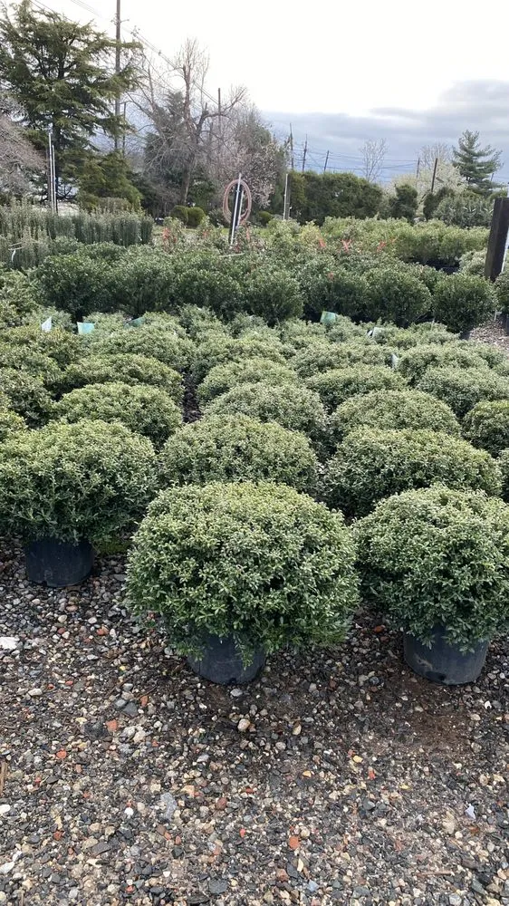 Expert outdoor landscaping in Edison, NJ by C & B Lawn Care Service