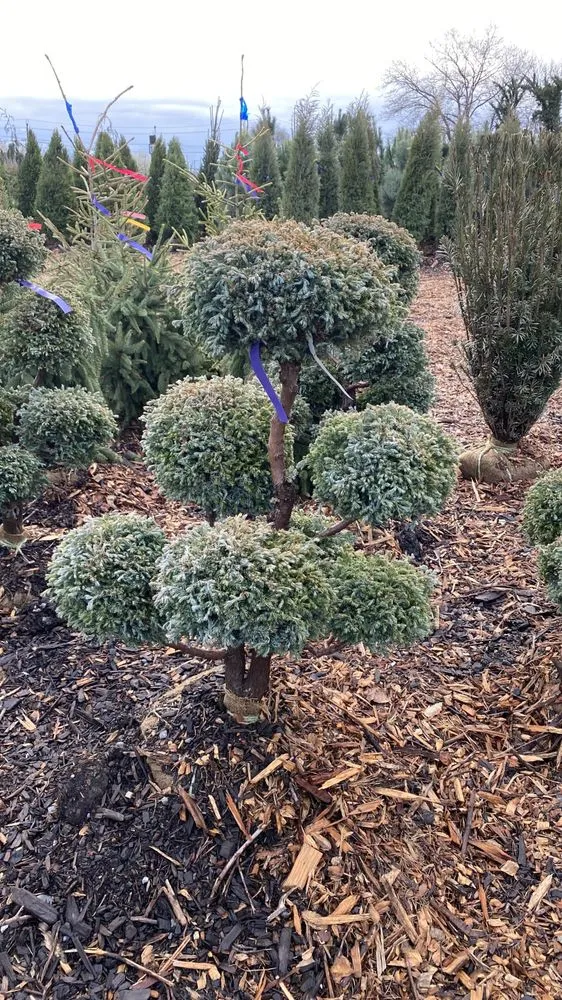 Affordable landscape installation in Edison, NJ by C & B Lawn Care Service