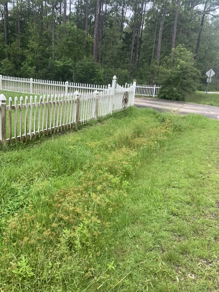 Reliable yard maintenance in Biloxi, MS - C & B lawn care services