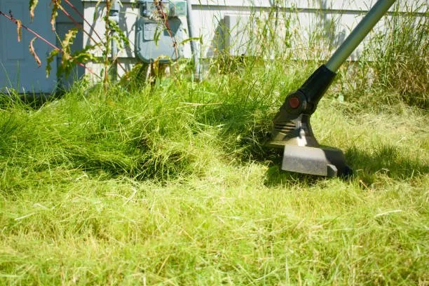 Expert yard cleanup service in Pittsburgh, PA - C & B Lawn