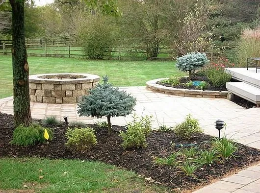 Top-rated lawn care service in New Port Richey, FL by C & B Pressure Cleaning Solutions