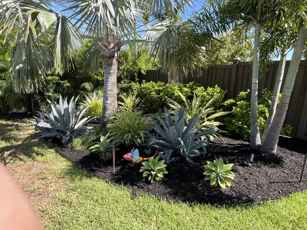 Expert yard cleanup service for residential properties in Tampa Bay, FL by C & B' s Paradise Landscapes