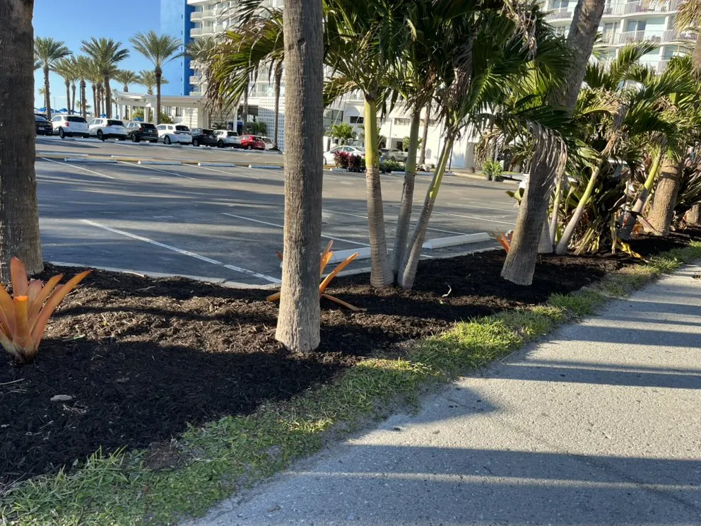 Top-rated landscape installation for outdoor upgrades across Tampa Bay, FL - C & B' s Paradise Landscapes