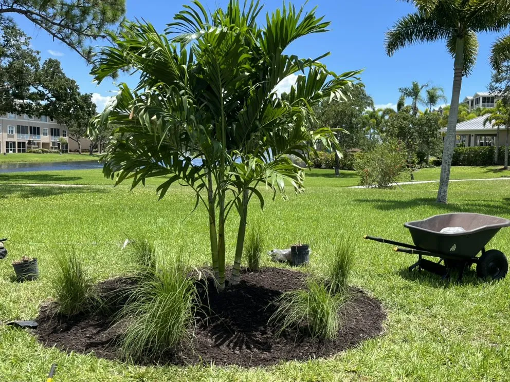Reliable residential landscaping experts serving Tampa Bay, FL - C & B' s Paradise Landscapes