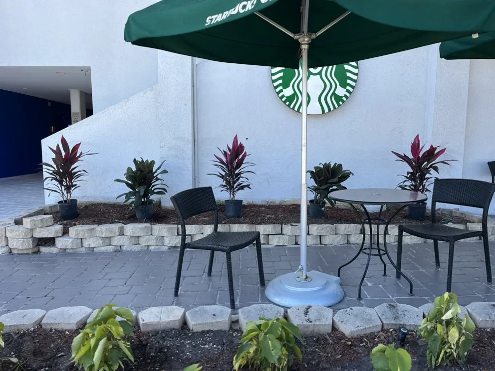 Local lawn care service for year-round maintenance in Tampa Bay, FL by C & B' s Paradise Landscapes