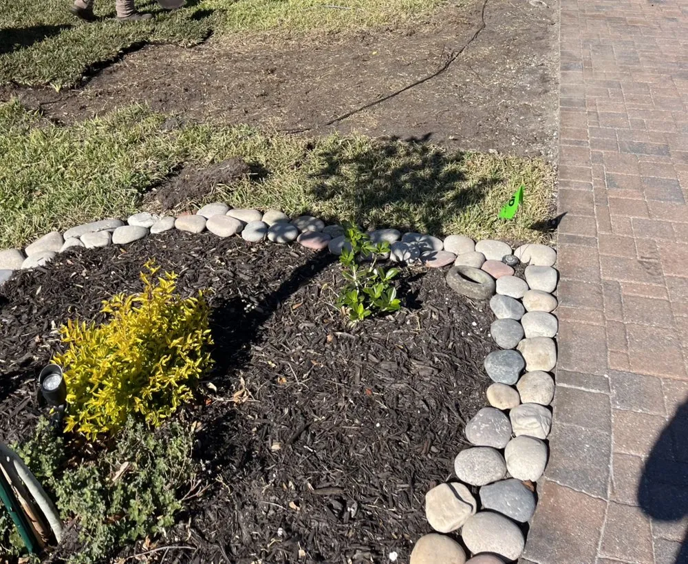 Top-rated landscape design for year-round maintenance in Tampa Bay, FL by C & B' s Paradise Landscapes