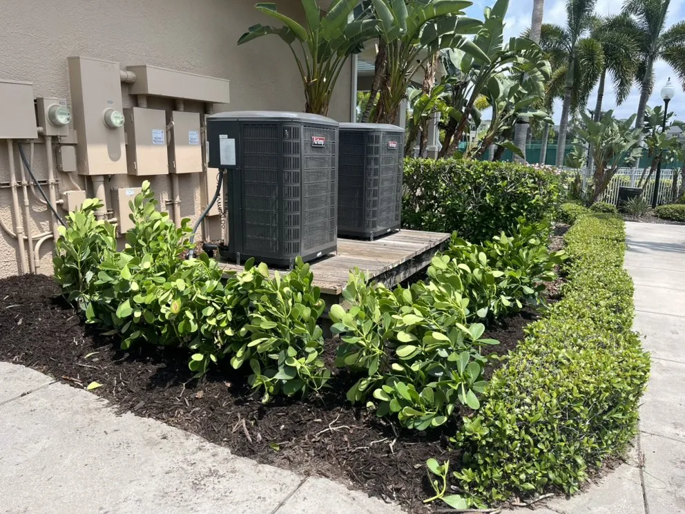 Expert lawn mowing service experts serving Tampa Bay, FL - C & B' s Paradise Landscapes