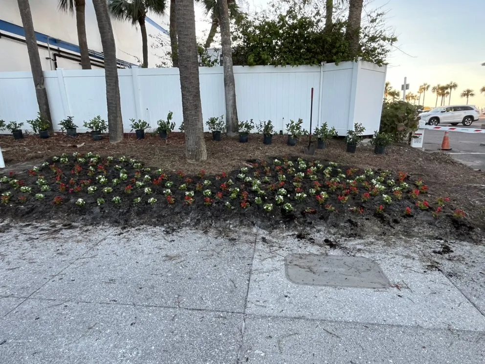 Top-rated lawn care service in Tampa Bay, FL - C & B' s Paradise Landscapes