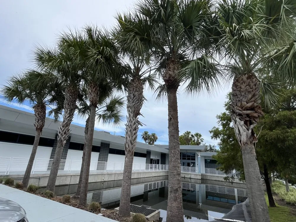 Affordable yard cleanup service experts serving Tampa Bay, FL - C & B' s Paradise Landscapes