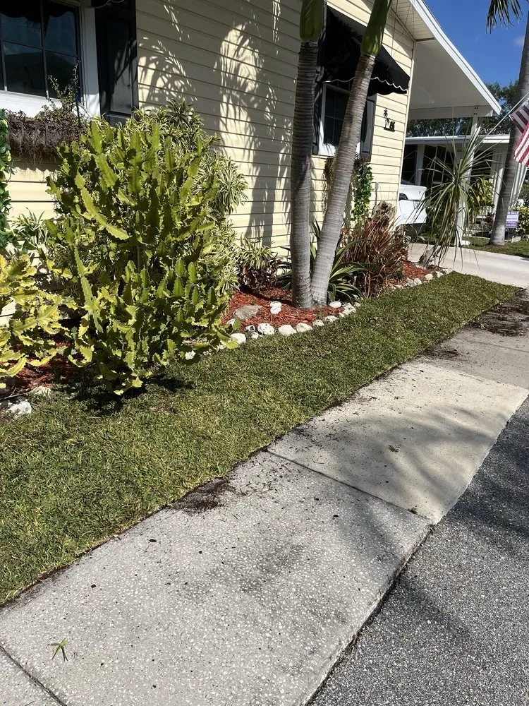 Professional landscape design with custom design in Tampa Bay, FL by C & B' s Paradise Landscapes