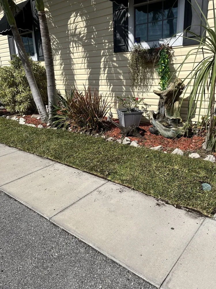 Top-rated yard cleanup service experts serving Tampa Bay, FL - C & B' s Paradise Landscapes