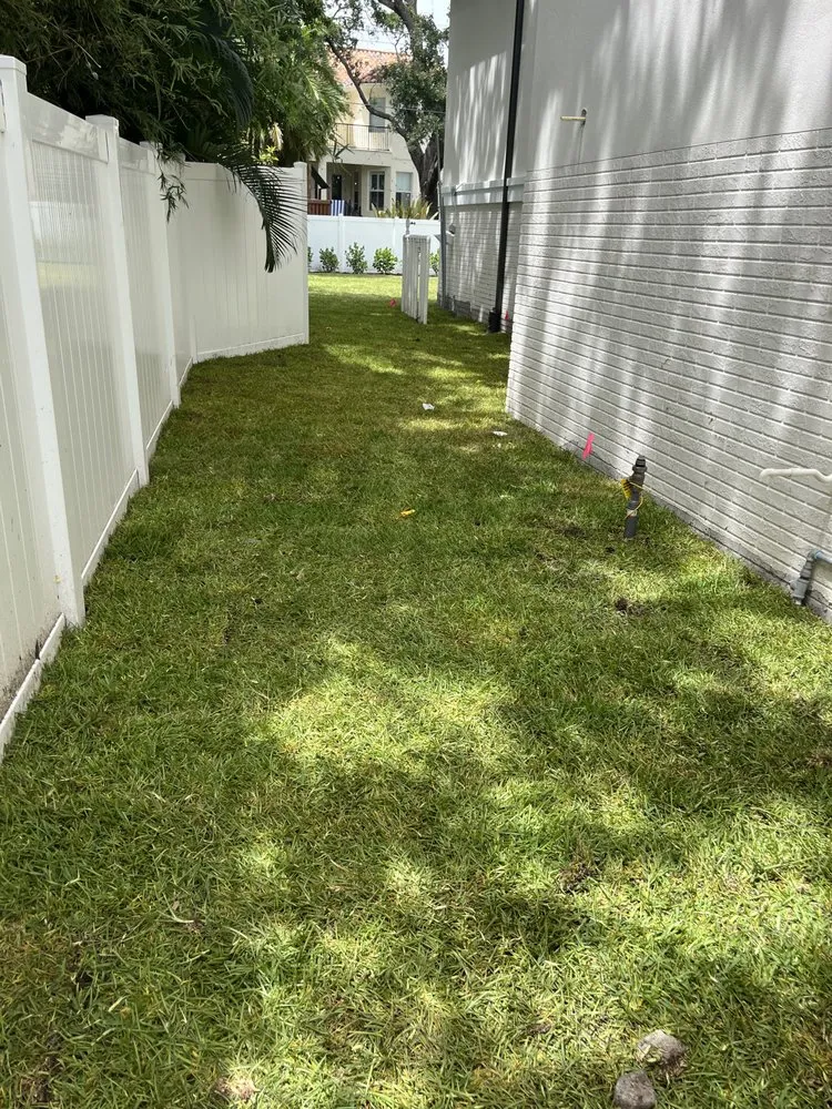 Top-rated lawn mowing service for outdoor upgrades across Tampa Bay, FL - C & B' s Paradise Landscapes