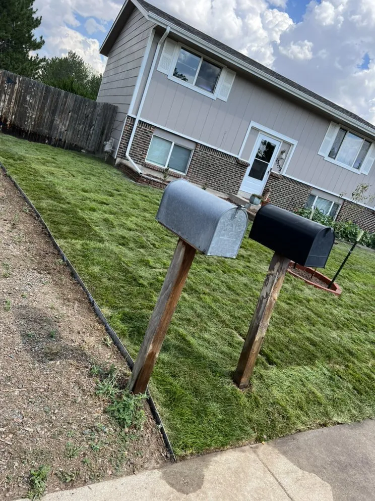 Custom yard cleanup service in Commerce City, CO - C & Bel Sprinkler System & Landscaping