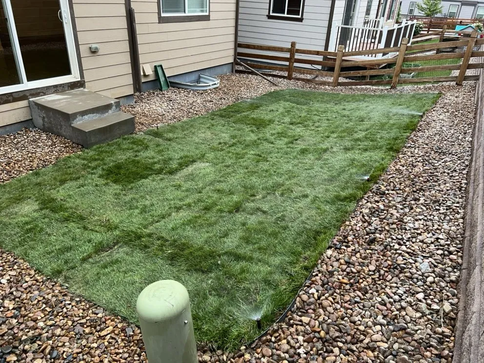 Local landscaping services in Commerce City, CO by C & Bel Sprinkler System & Landscaping