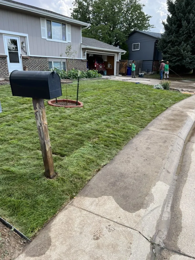 Top-rated lawn care service near you across Commerce City, CO - C & Bel Sprinkler System & Landscaping