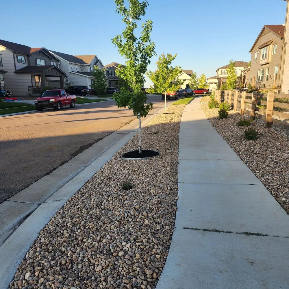 Top-rated yard maintenance in Commerce City, CO - C & Bel Sprinkler System & Landscaping