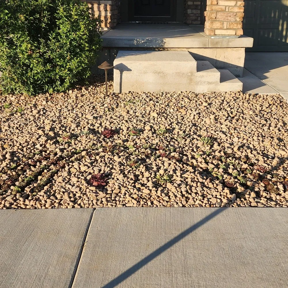 Trusted lawn care service experts serving Commerce City, CO - C & Bel Sprinkler System & Landscaping