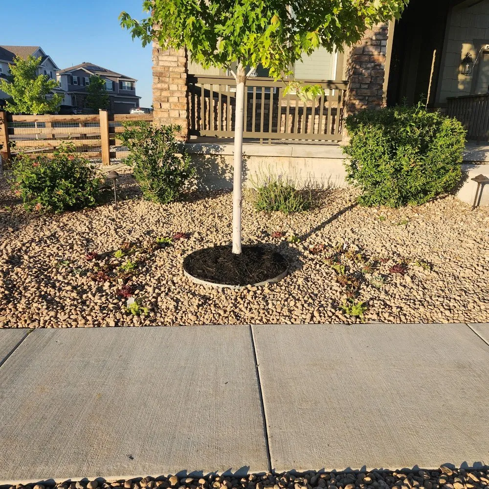 Professional yard cleanup service for outdoor upgrades in Commerce City, CO by C & Bel Sprinkler System & Landscaping