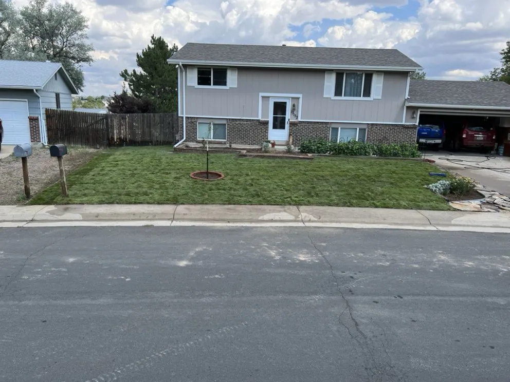 Expert yard cleanup service experts serving Commerce City, CO - C & Bel Sprinkler System & Landscaping