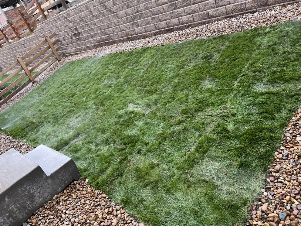 Professional garden landscaping in Commerce City, CO by C & Bel Sprinkler System & Landscaping