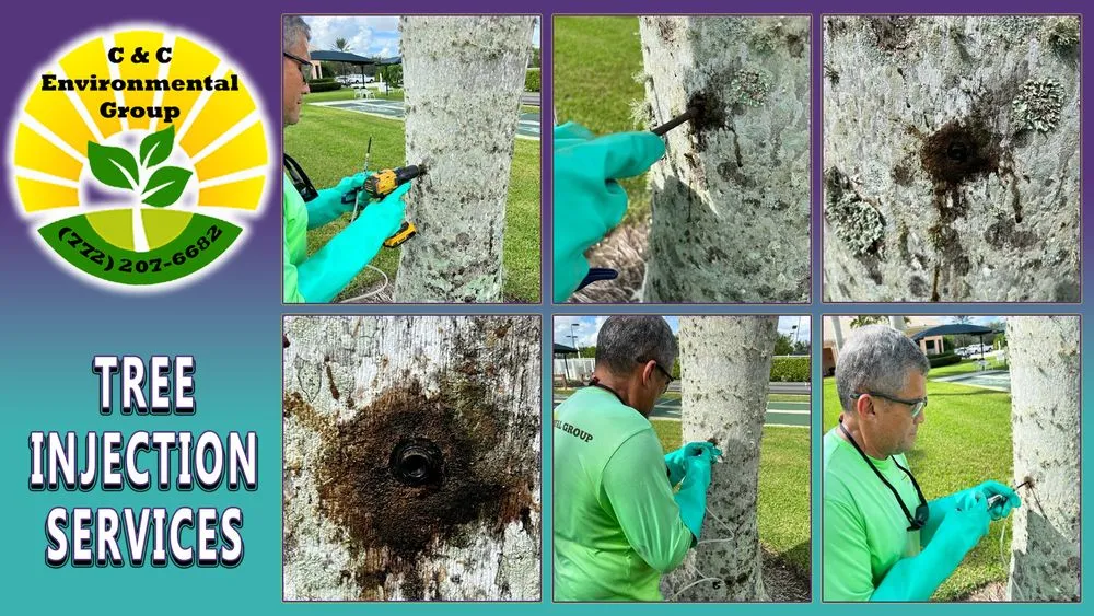 Top-rated yard cleanup service in Port St. Lucie, FL - C & C Enviromental Pest Control Group