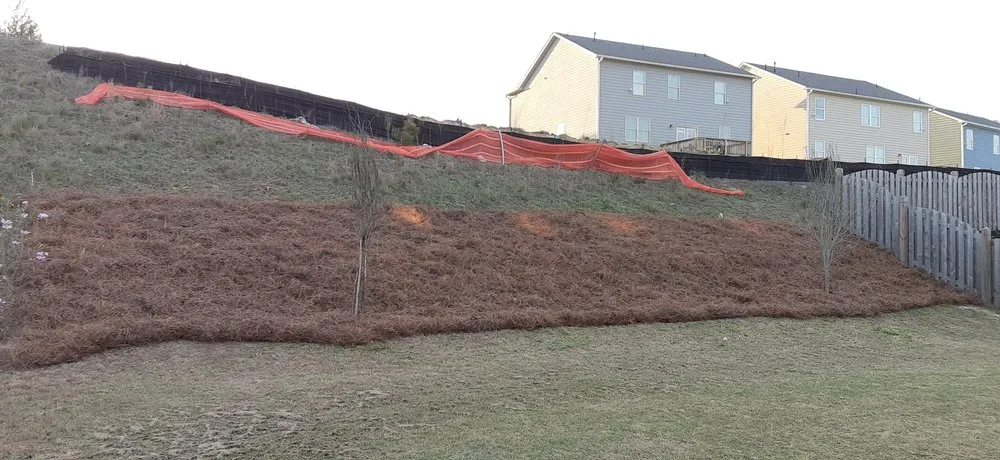 Affordable lawn care service for beautiful yards across Nicholson, GA - C & C Landscape & Tree Service