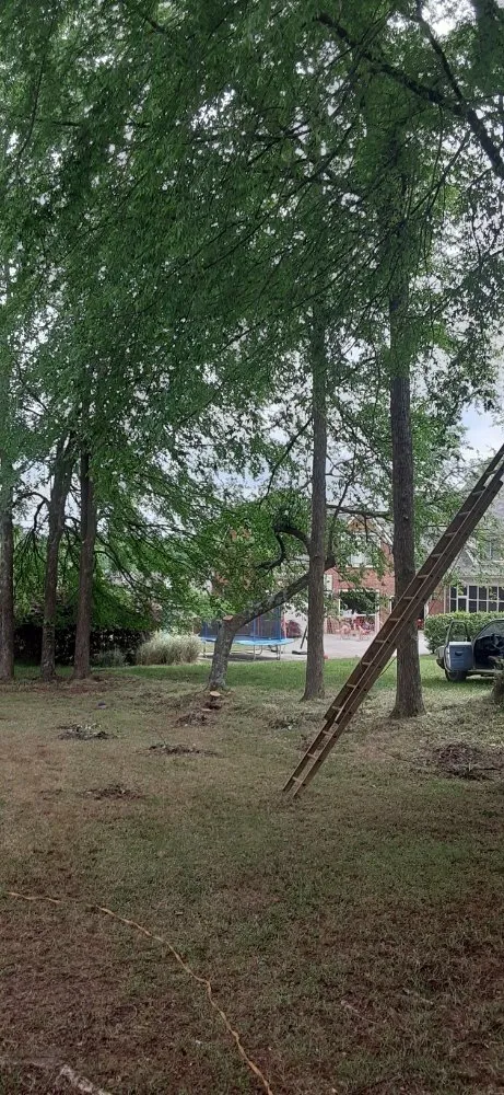 Expert yard cleanup service for outdoor upgrades across Nicholson, GA - C & C Landscape & Tree Service