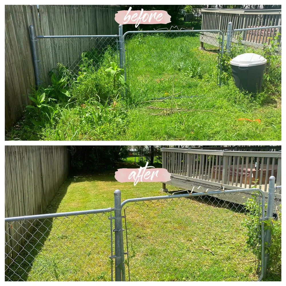 Top-rated yard cleanup service for year-round maintenance in Maryville, TN by C & C Landscaping