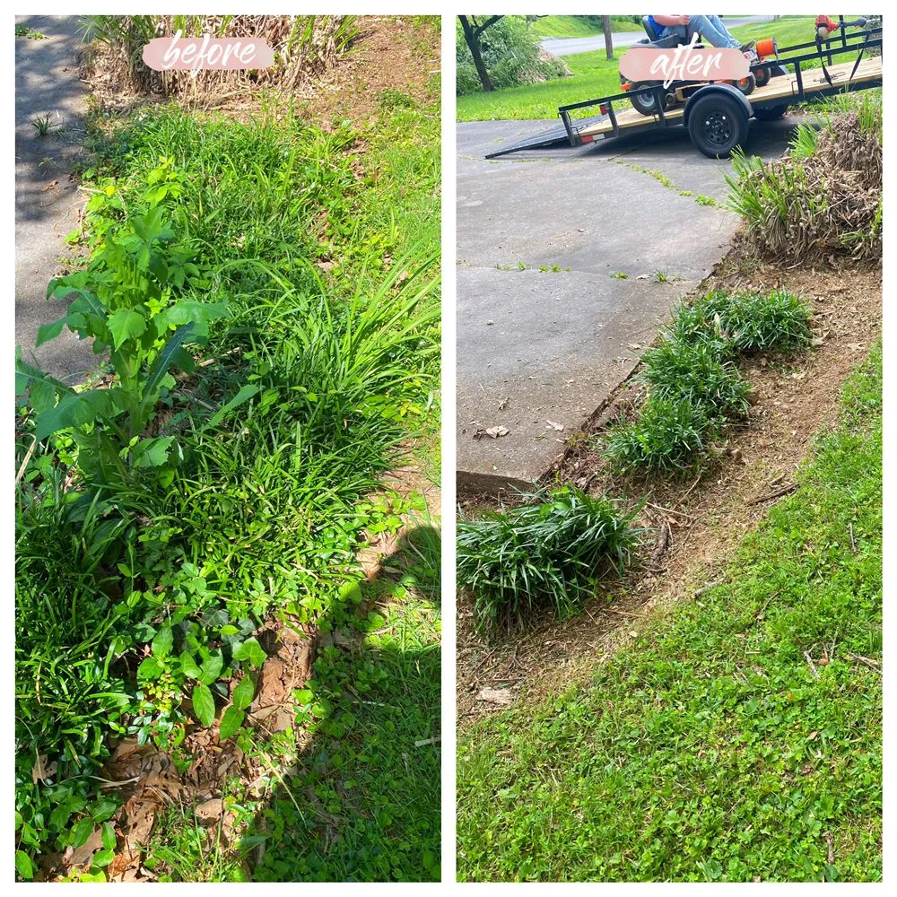Reliable yard maintenance experts serving Maryville, TN - C & C Landscaping