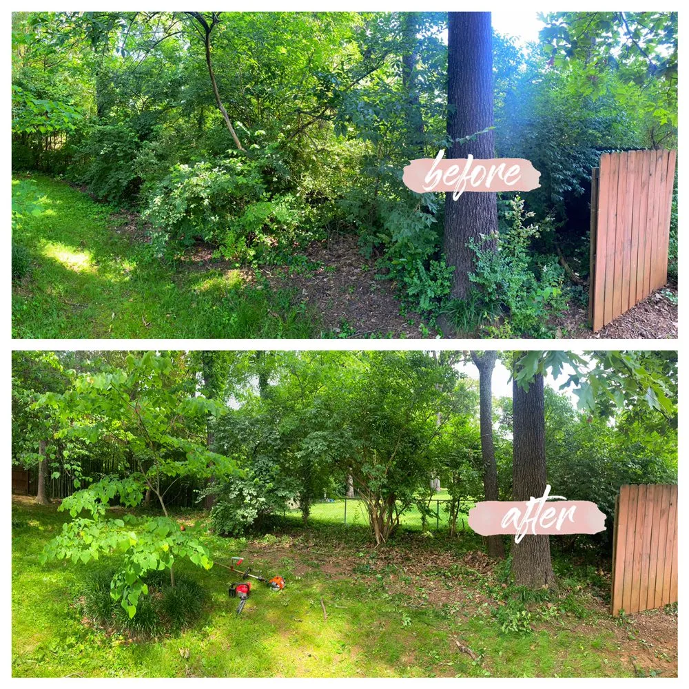 Affordable yard cleanup service with custom design across Maryville, TN - C & C Landscaping