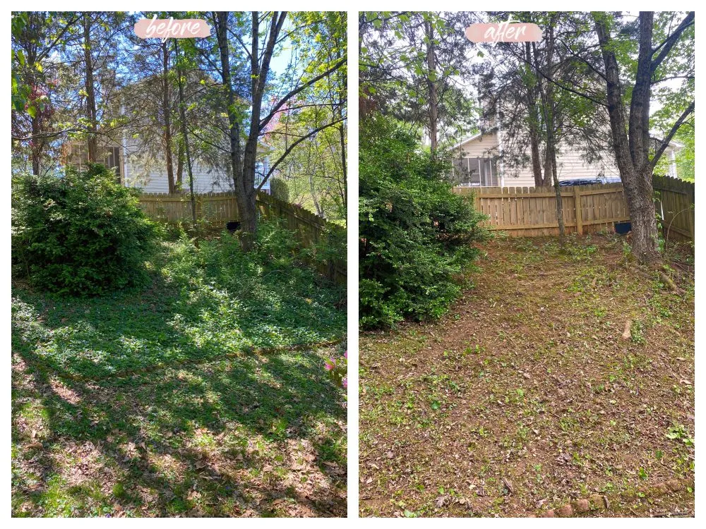 Top-rated lawn mowing service for residential properties across Maryville, TN - C & C Landscaping