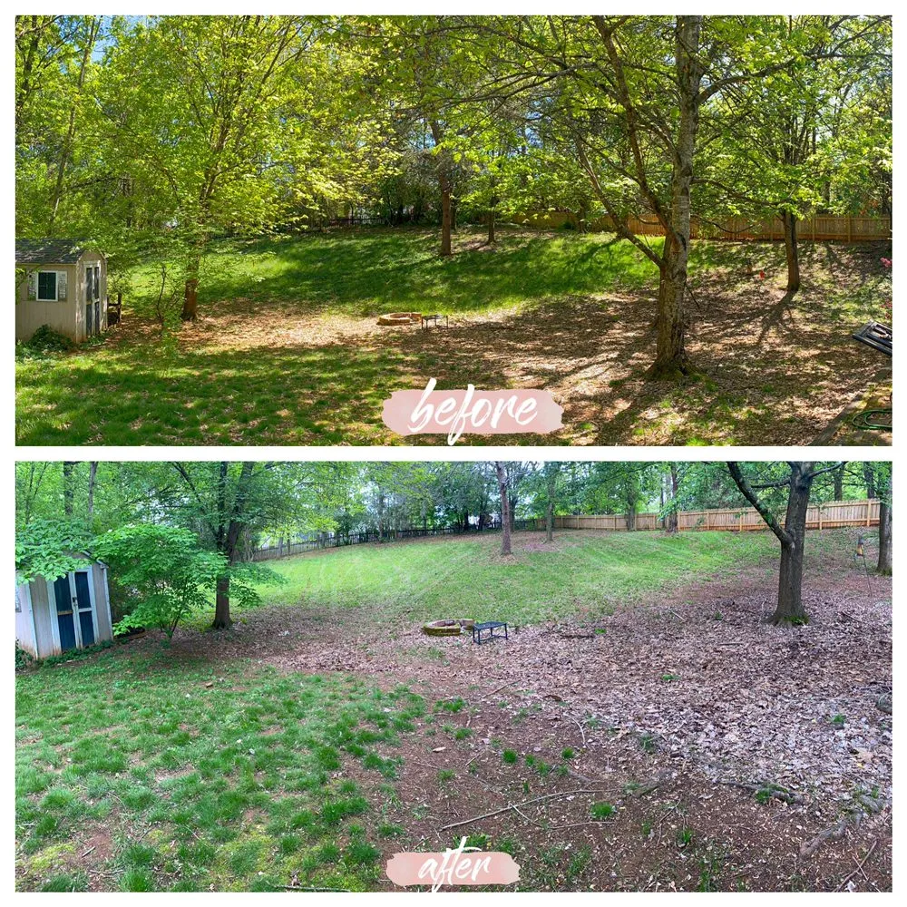 Trusted lawn care service in Maryville, TN by C & C Landscaping