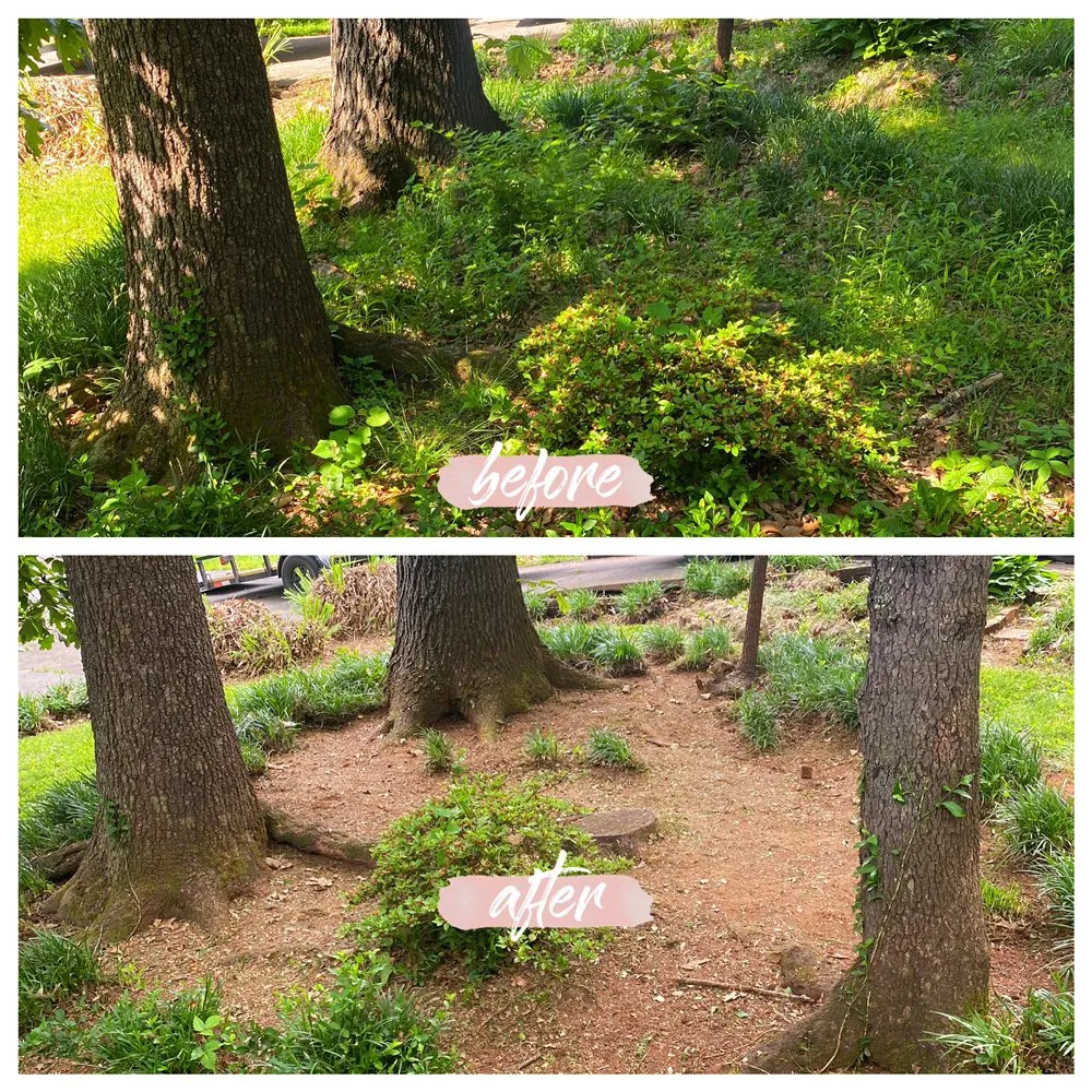 Custom yard maintenance in Maryville, TN - C & C Landscaping