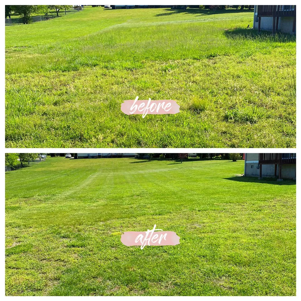 Trusted outdoor landscaping near you in Maryville, TN by C & C Landscaping