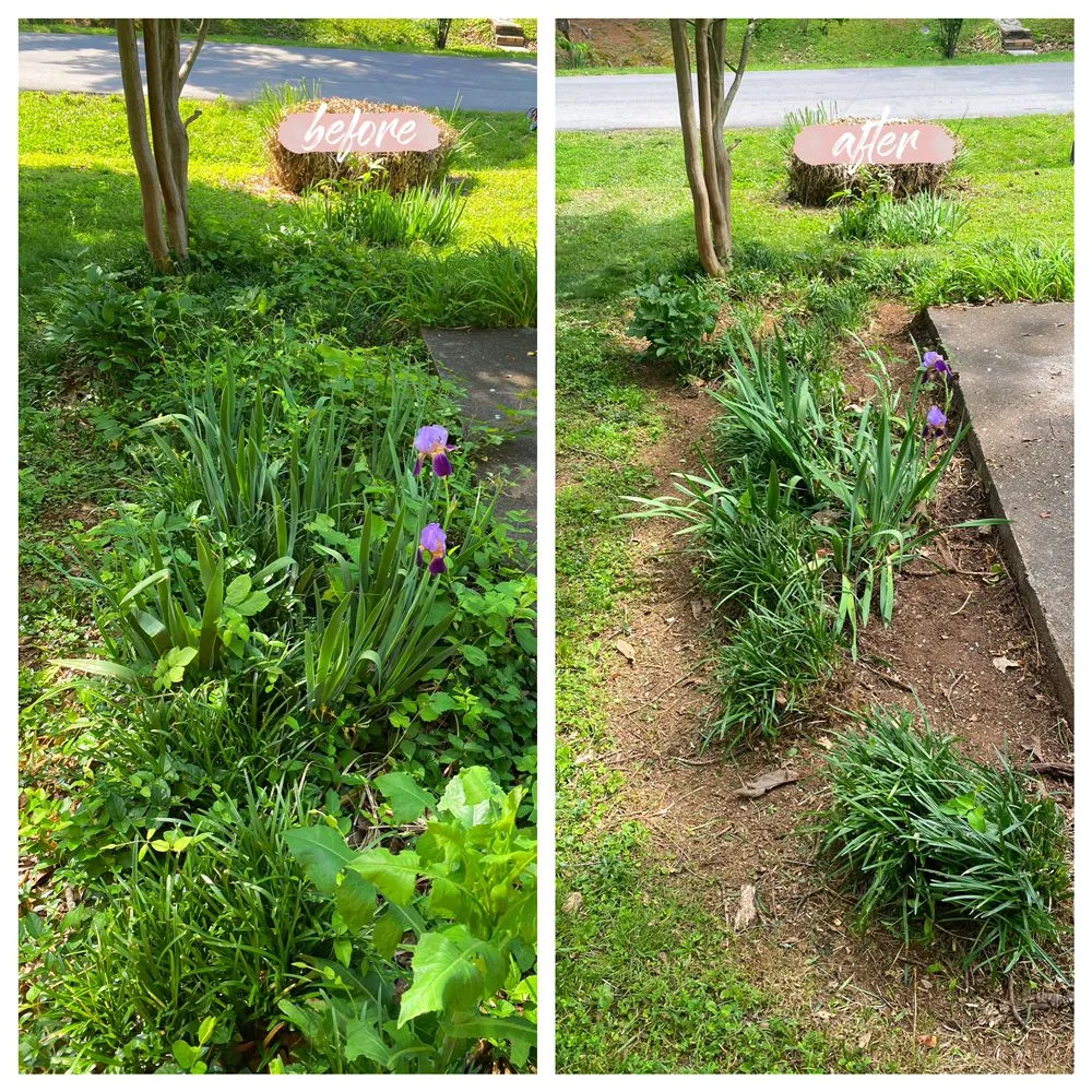 Expert lawn mowing service in Maryville, TN - C & C Landscaping