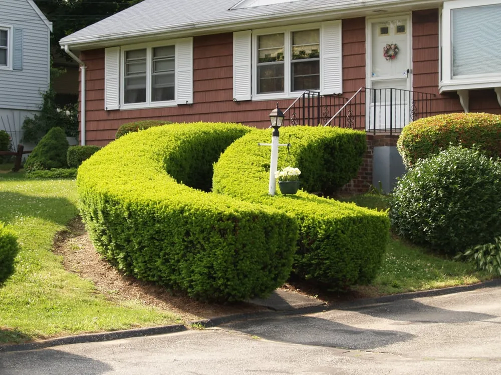 Local residential landscaping in Norwalk, CT - C & C Landscaping