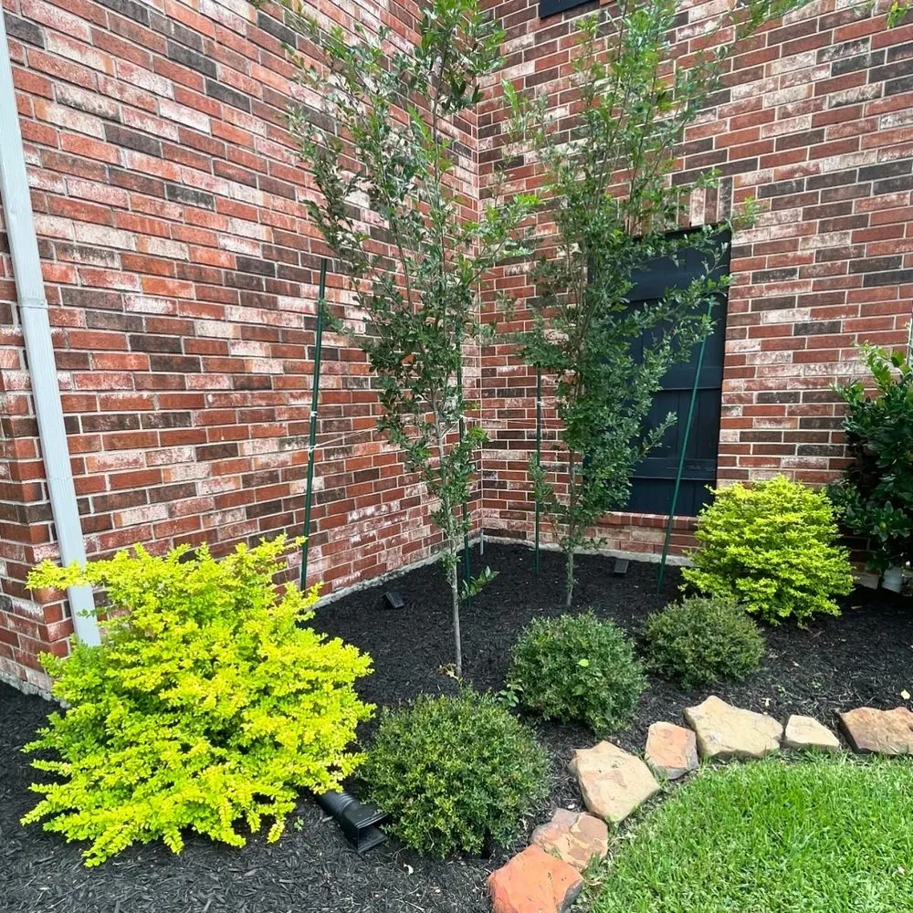 Reliable yard cleanup service experts serving The Woodlands, TX - C & C Landscaping