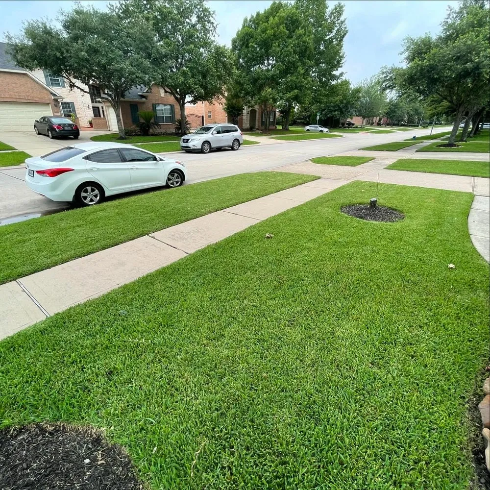 Trusted yard maintenance for year-round maintenance across The Woodlands, TX - C & C Landscaping