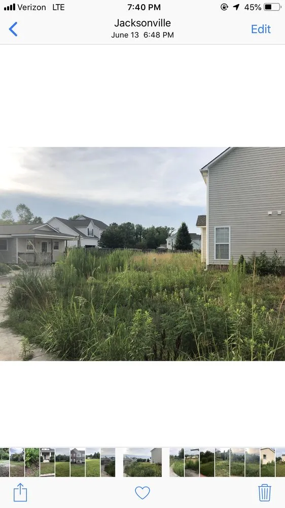 Top-rated landscape design for year-round maintenance across Wilmington, NC - C & C Lawn and Homes Services