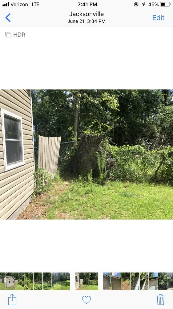 Reliable yard cleanup service experts serving Wilmington, NC - C & C Lawn and Homes Services